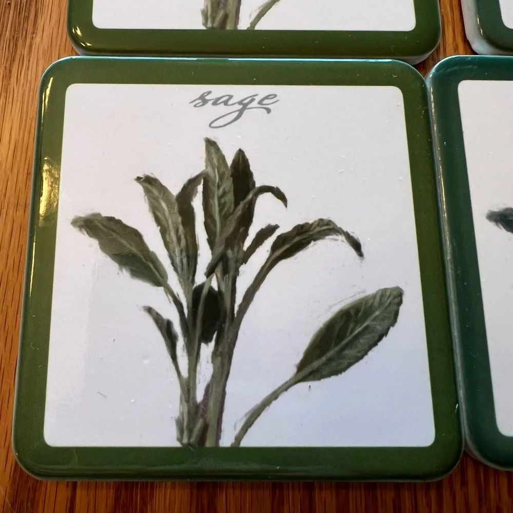Set of 6 Sage Coasters with Darren Gygi's Artwork